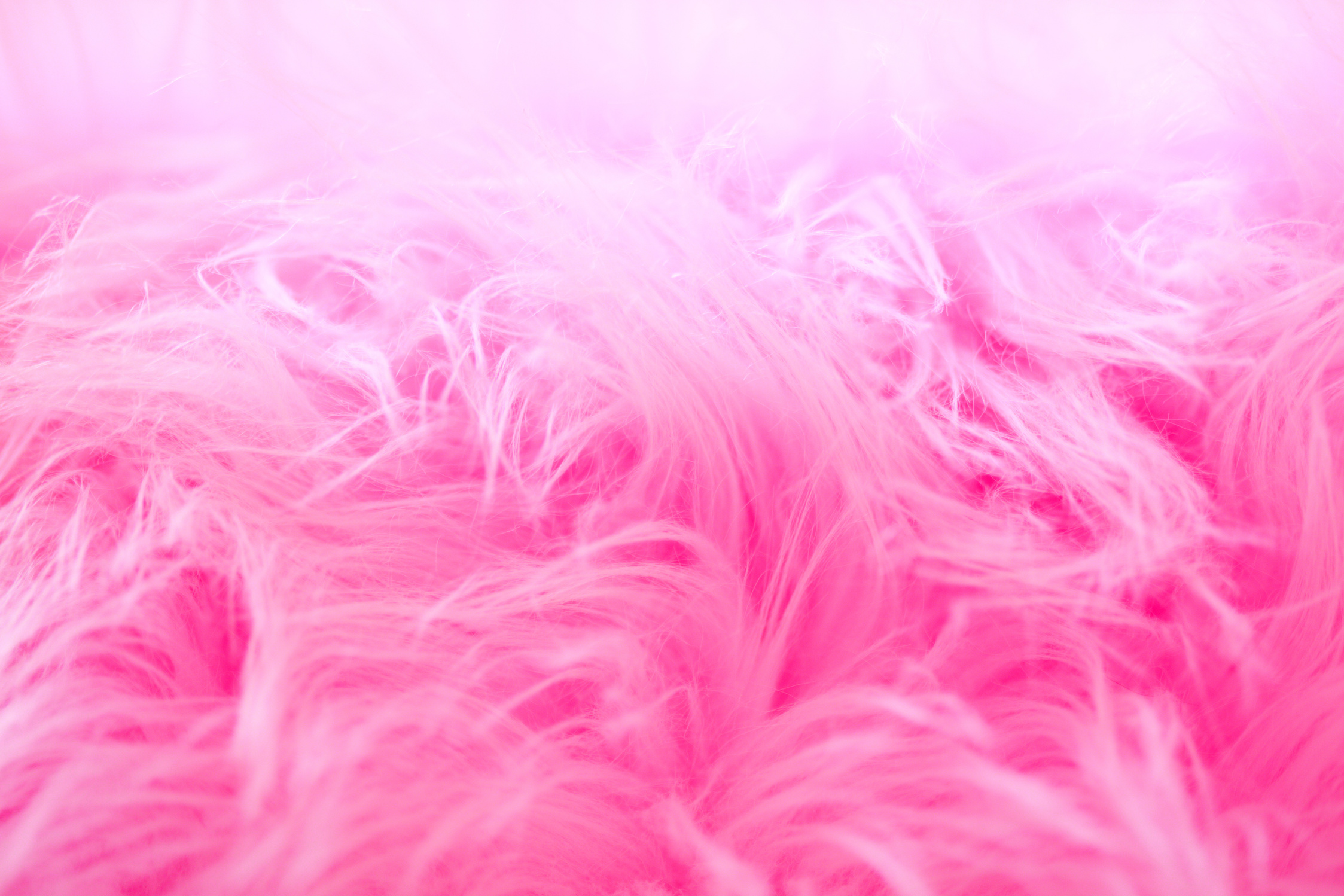 Pink Fur Closeup Photography